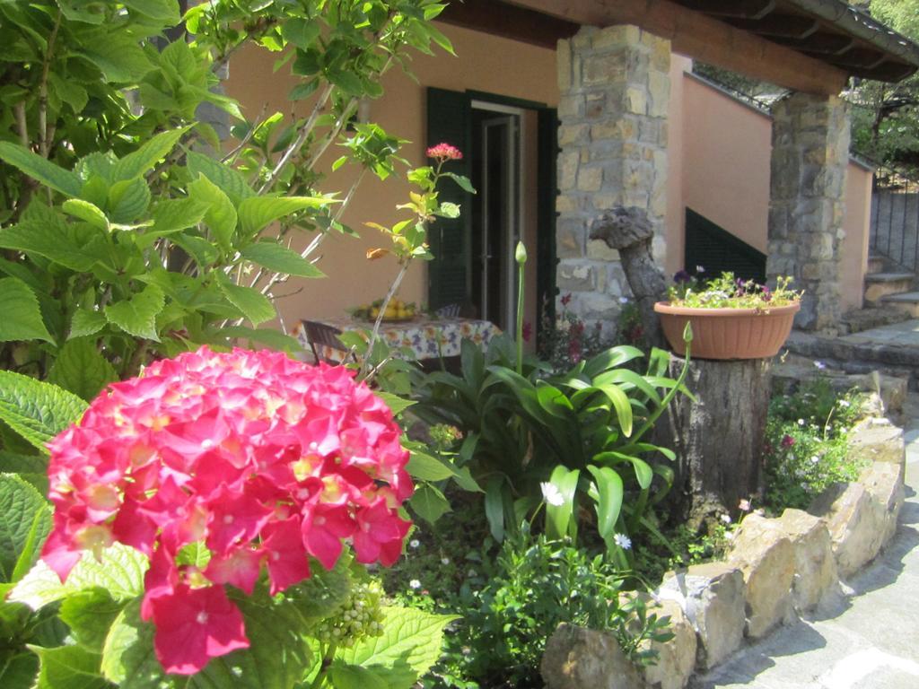 Vallebona Agriturismo Turlin מראה חיצוני תמונה